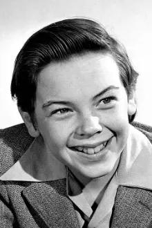 Bobby Driscoll como: Peter Pan (voice) (archive footage)