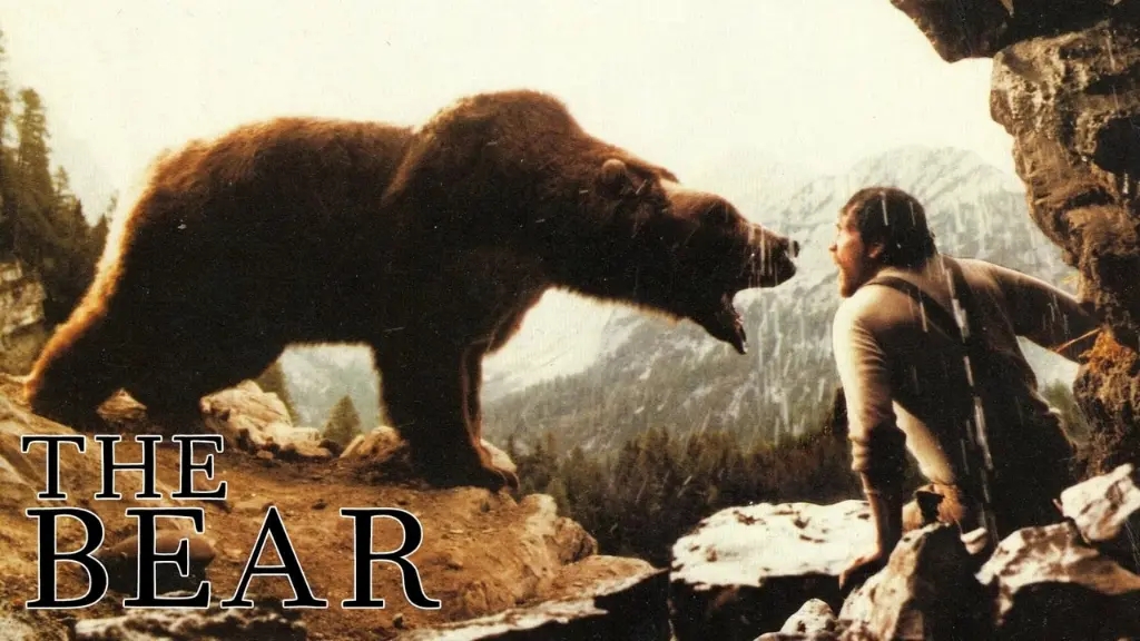 O Urso