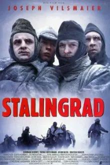Stalingrado - A Batalha Final