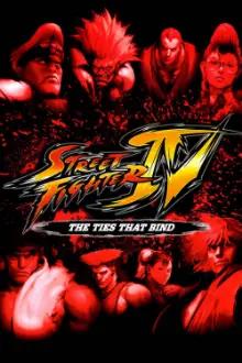 Street Fighter IV: Os Laços que Ligam