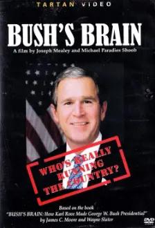 Bush's Brain