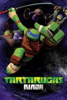 As Tartarugas Ninjas