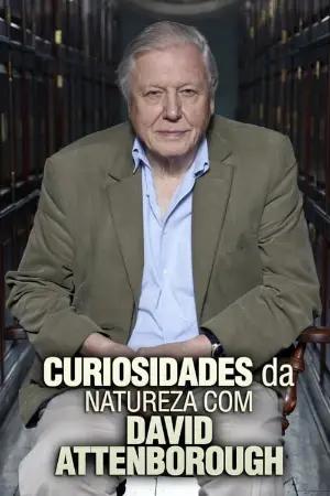 Curiosidades da Natureza com David Attenborough