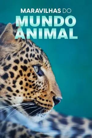 Maravilhas do Mundo Animal