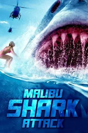 Tubarão de Malibu