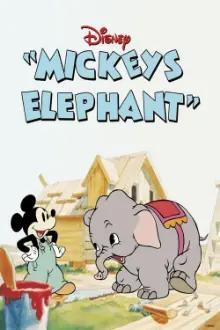 O Elefante de Mickey