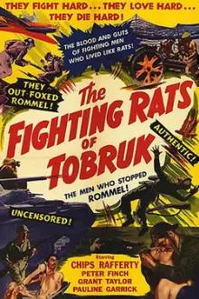 Os Ratos de Tobruk