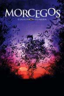 Morcegos: Colheita Humana