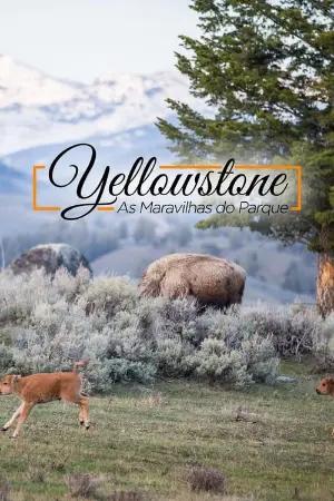 Yellowstone - As Maravilhas do Parque