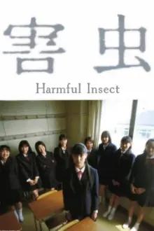 Harmful Insect