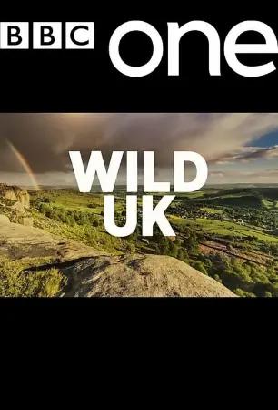 Wild UK