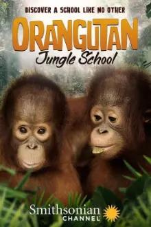 Escola de Orangotangos