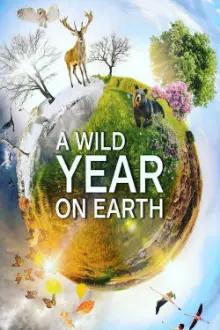 Um Ano Selvagem na Terra
