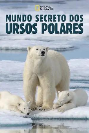 Mundo Secreto dos Ursos Polares