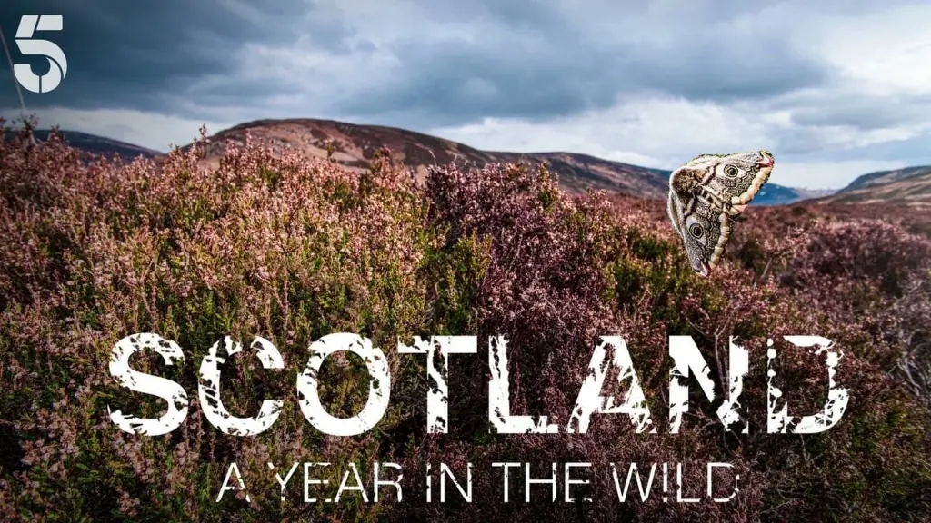 Scotland: A Year In The Wild