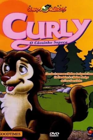 Curly, o Cãozinho Sapeca