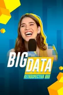 Big Data: Retrospectiva BBB