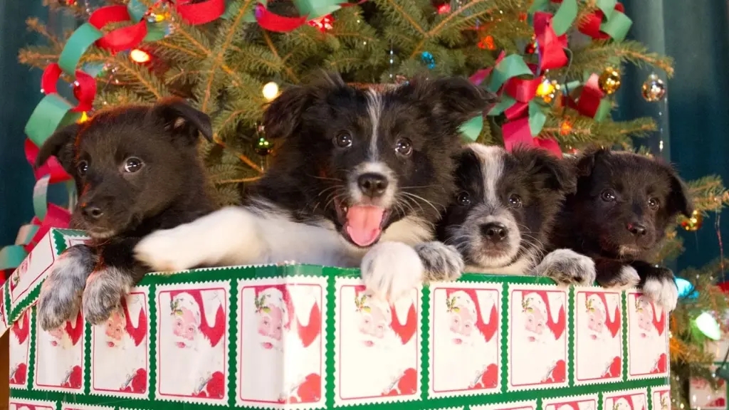 Os Doze Cães de Natal II: O Grande Resgate
