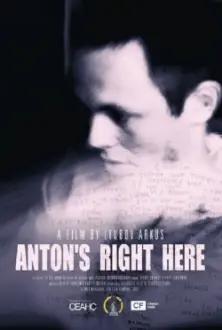 Anton's Right Here
