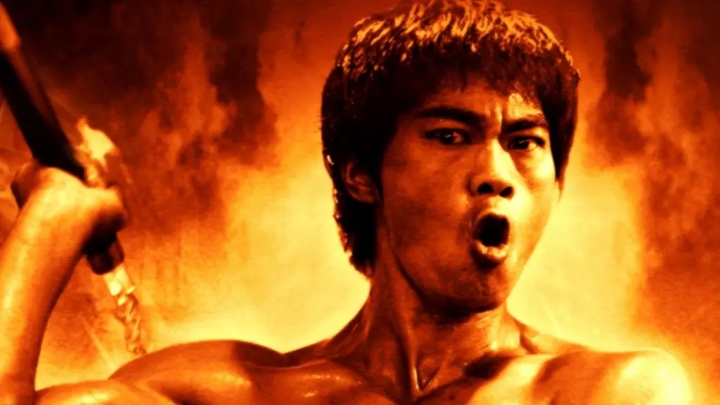 Bruce Lee: O Homem e a Lenda