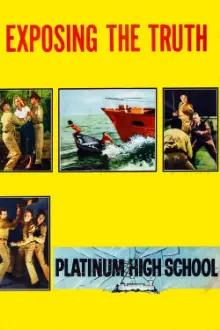Platinum High School