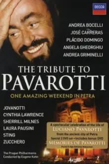 The Tribute to: Pavarotti