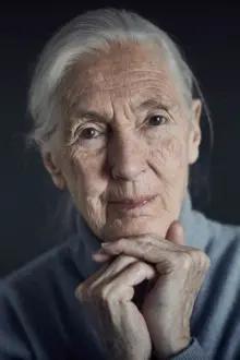 Jane Goodall como: Ela mesma