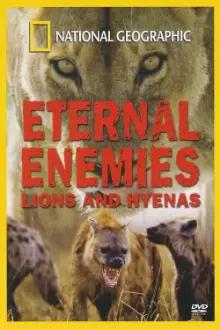 Eternal Enemies: Lions and Hyenas