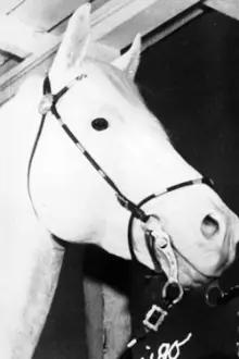 White Flash como: Tex's Horse