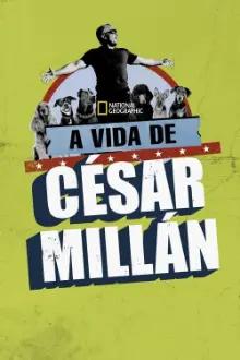 A Vida de Cesar Millan