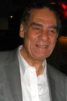 Ahmed Fouad Selim como: Captain Mahran