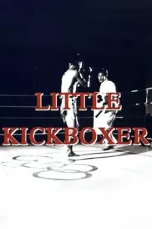O Filho do Kickboxer