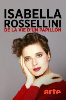 Isabella Rossellini, Além do Cinema
