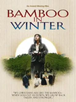 Bamboo In Winter