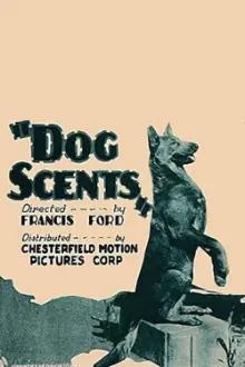 Dog Scents