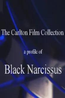A Profile of 'Black Narcissus'