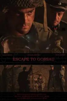 Escape to Gossau