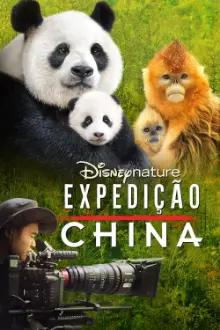 Expedição China
