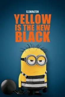 Minions Curta: Amarelo é o Novo Preto