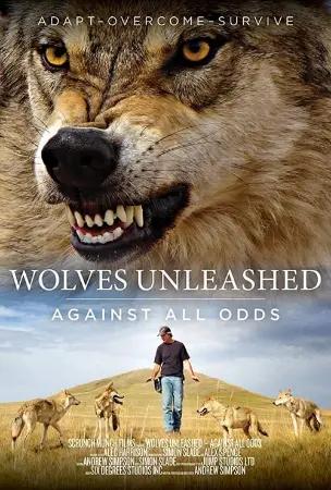 Wolves Unleashed: Against All Odds