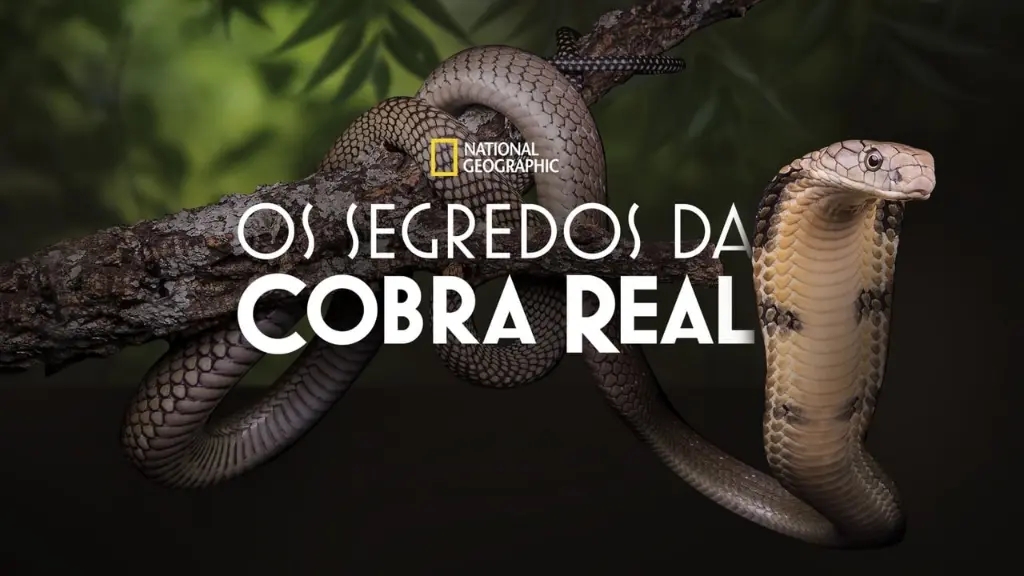 Os Segredos da Cobra Real