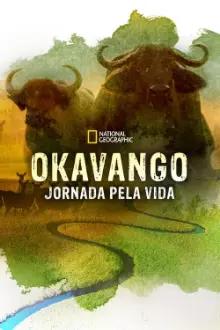 Okavango: Jornada pela Vida