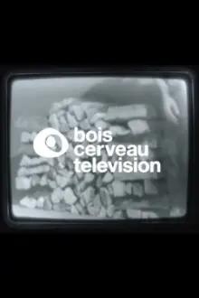 BOIS CERVEAU TV (1)