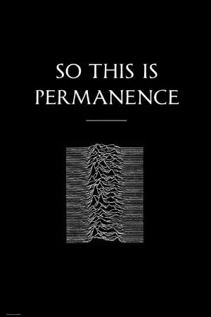 Peter Hook & The Light: So This Is Permanent