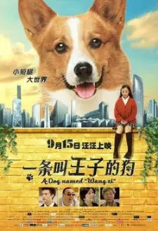 A Dog Named Wang Zi