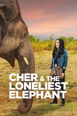 Cher e o Elefante Solitário