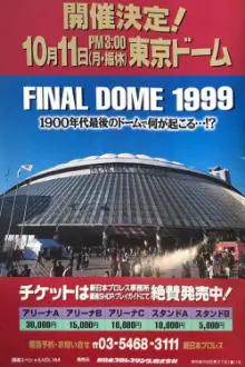 NJPW Final Dome