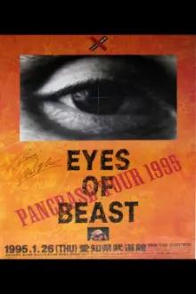 Pancrase: Eyes of Beast 1