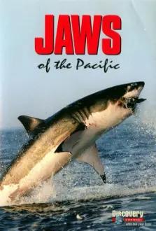 Jaws of the Pacific