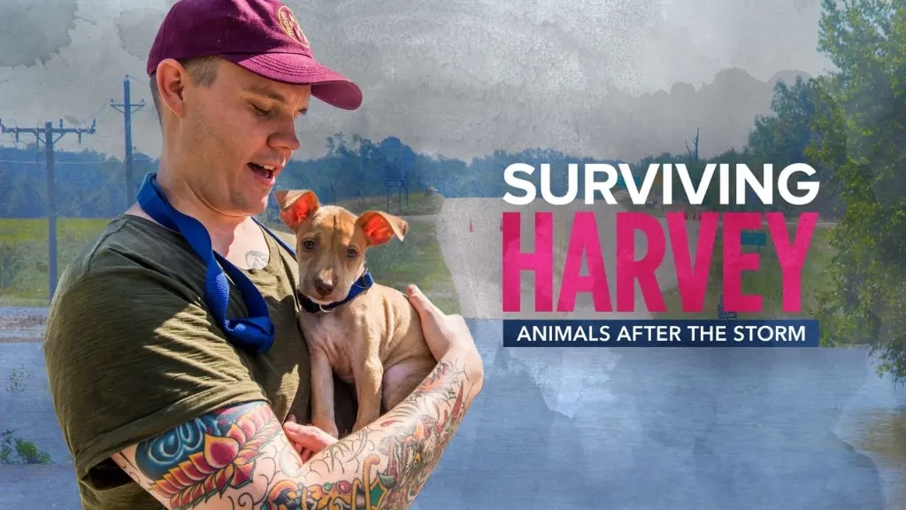 Surviving Harvey: Animals After the Storm
